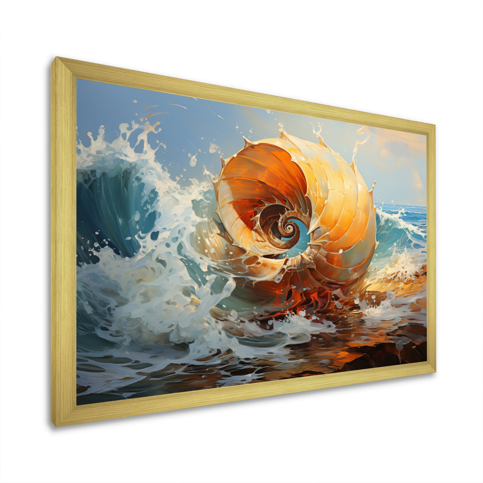 Nautilus Sheels Elegance - Nautilus Wall Decor