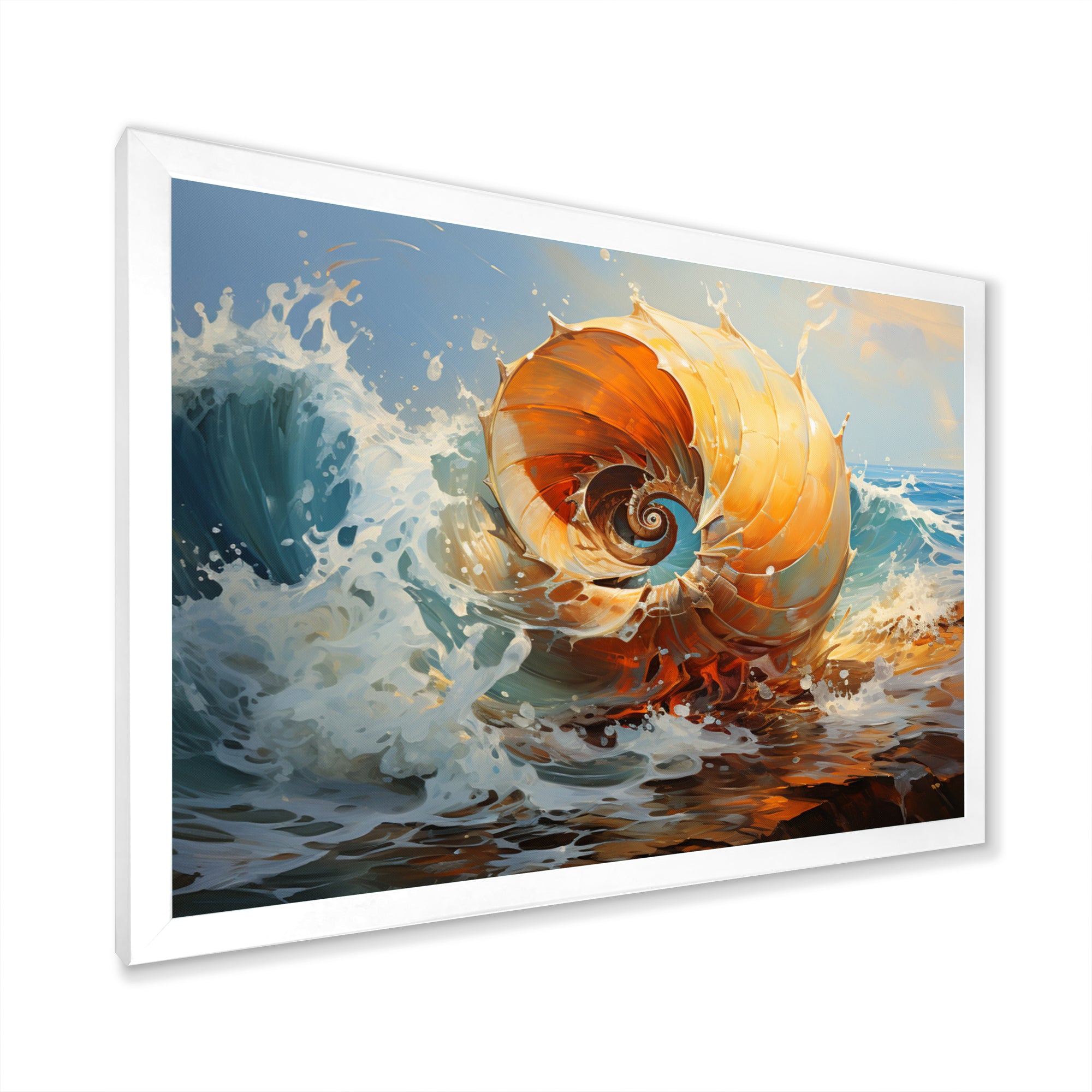 Nautilus Sheels Elegance - Nautilus Wall Decor
