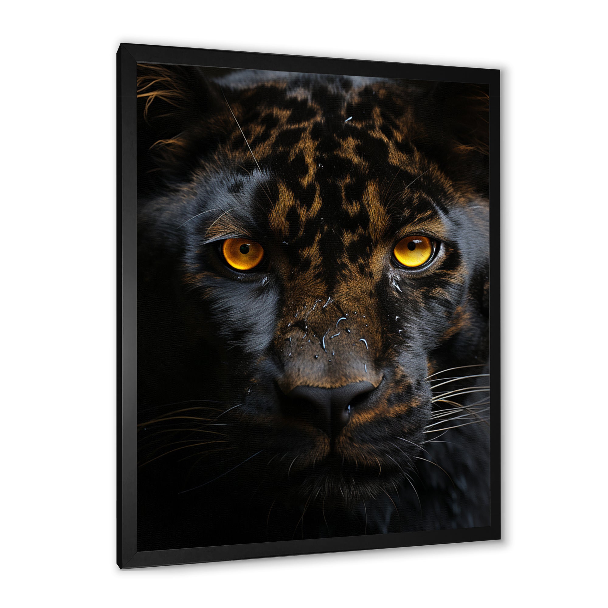Black White Panther Eyes Of Intensity - Panther Wall Decor