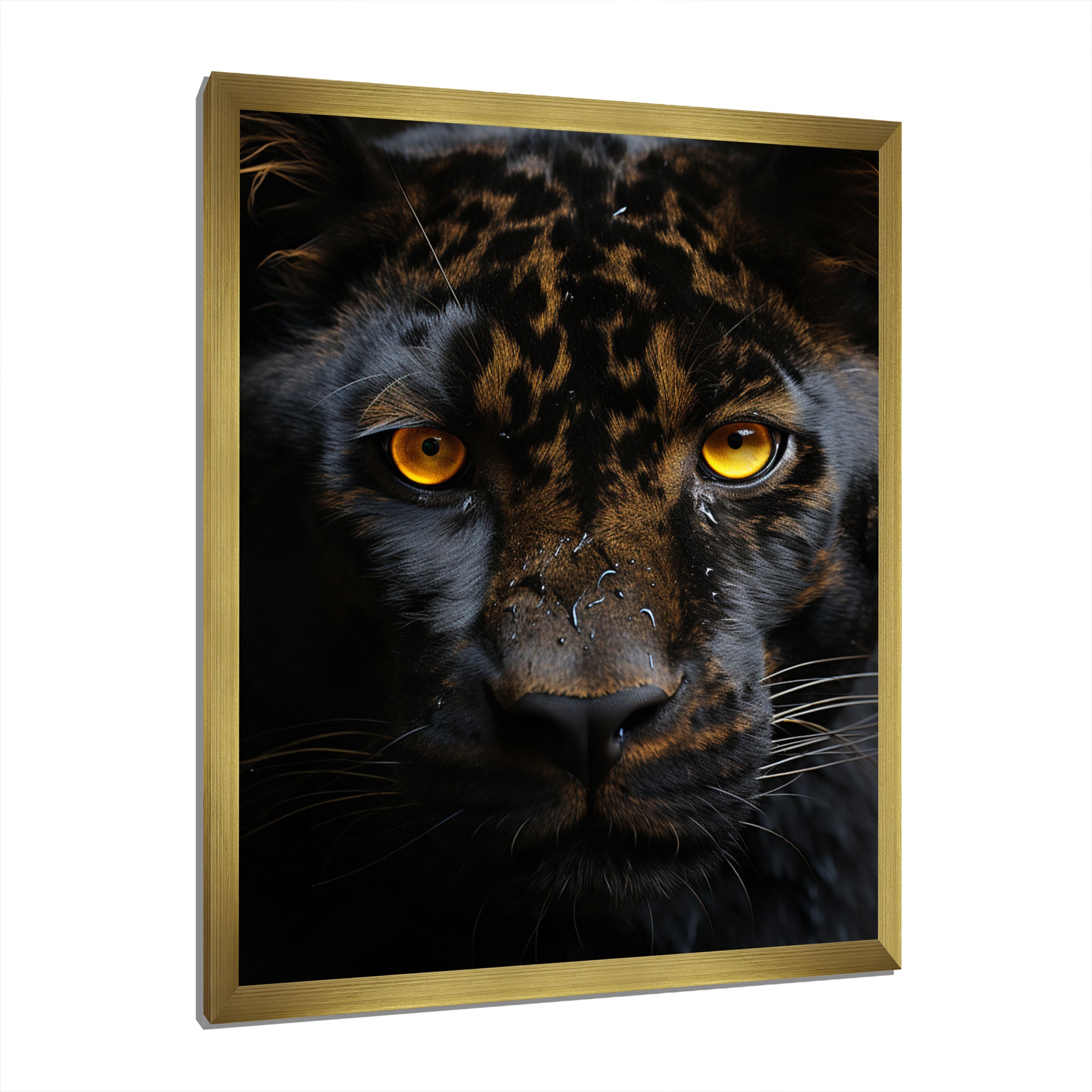 Black White Panther Eyes Of Intensity - Panther Wall Decor
