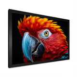 Red Parrot Colorful Parrot - Parrot Canvas Wall Art