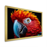 Red Parrot Colorful Parrot - Parrot Canvas Wall Art