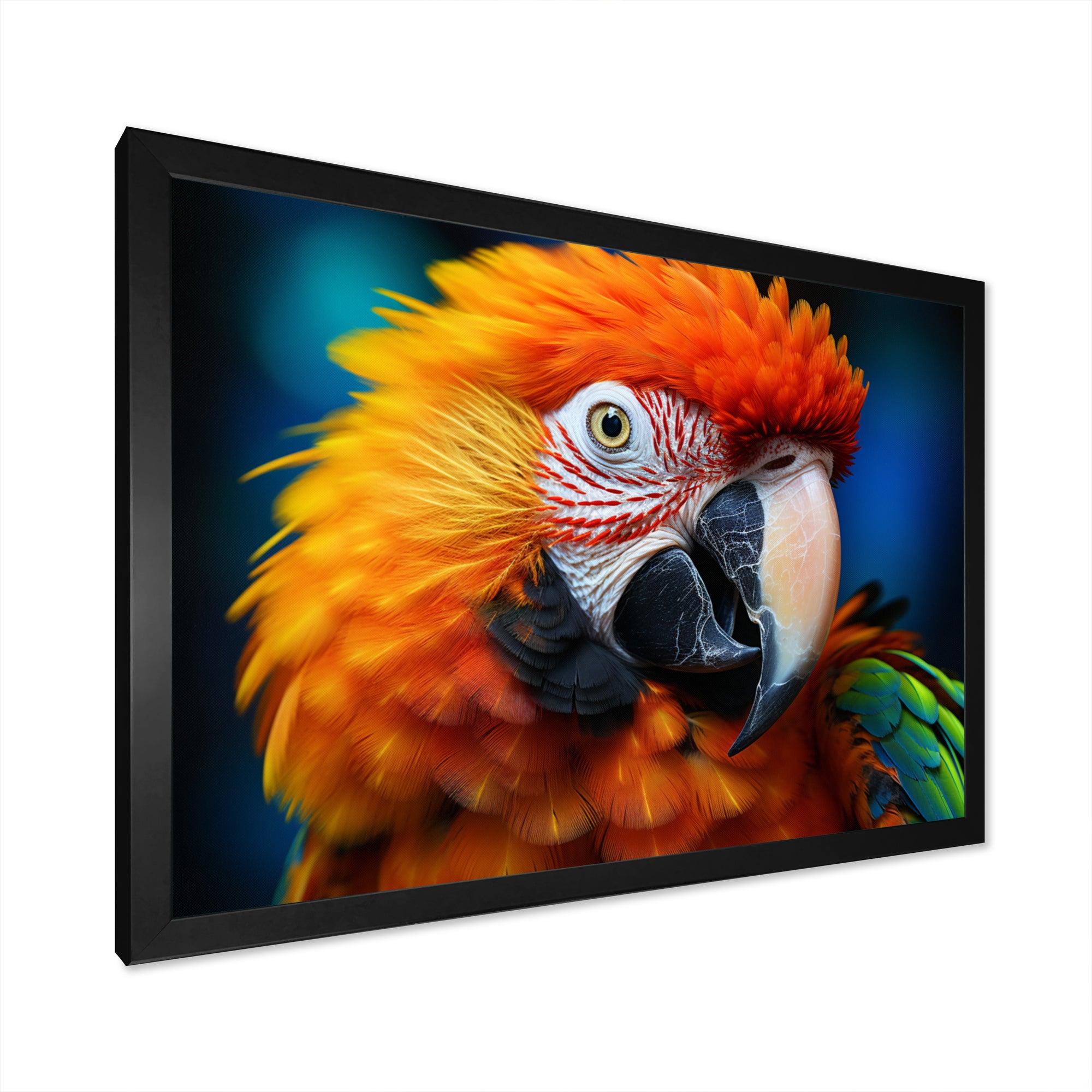 Yellow Red Parrot Colorful Parrot - Parrot Canvas Wall Art