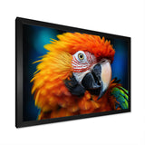 Yellow Red Parrot Colorful Parrot - Parrot Canvas Wall Art