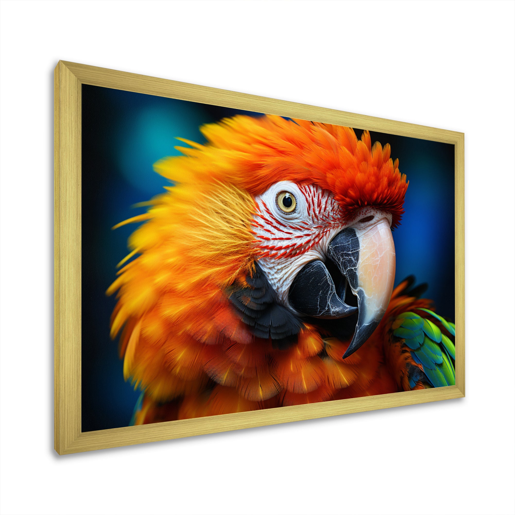 Yellow Red Parrot Colorful Parrot - Parrot Canvas Wall Art