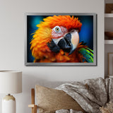 Yellow Red Parrot Colorful Parrot - Parrot Canvas Wall Art
