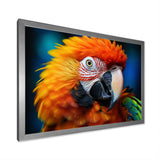 Yellow Red Parrot Colorful Parrot - Parrot Canvas Wall Art