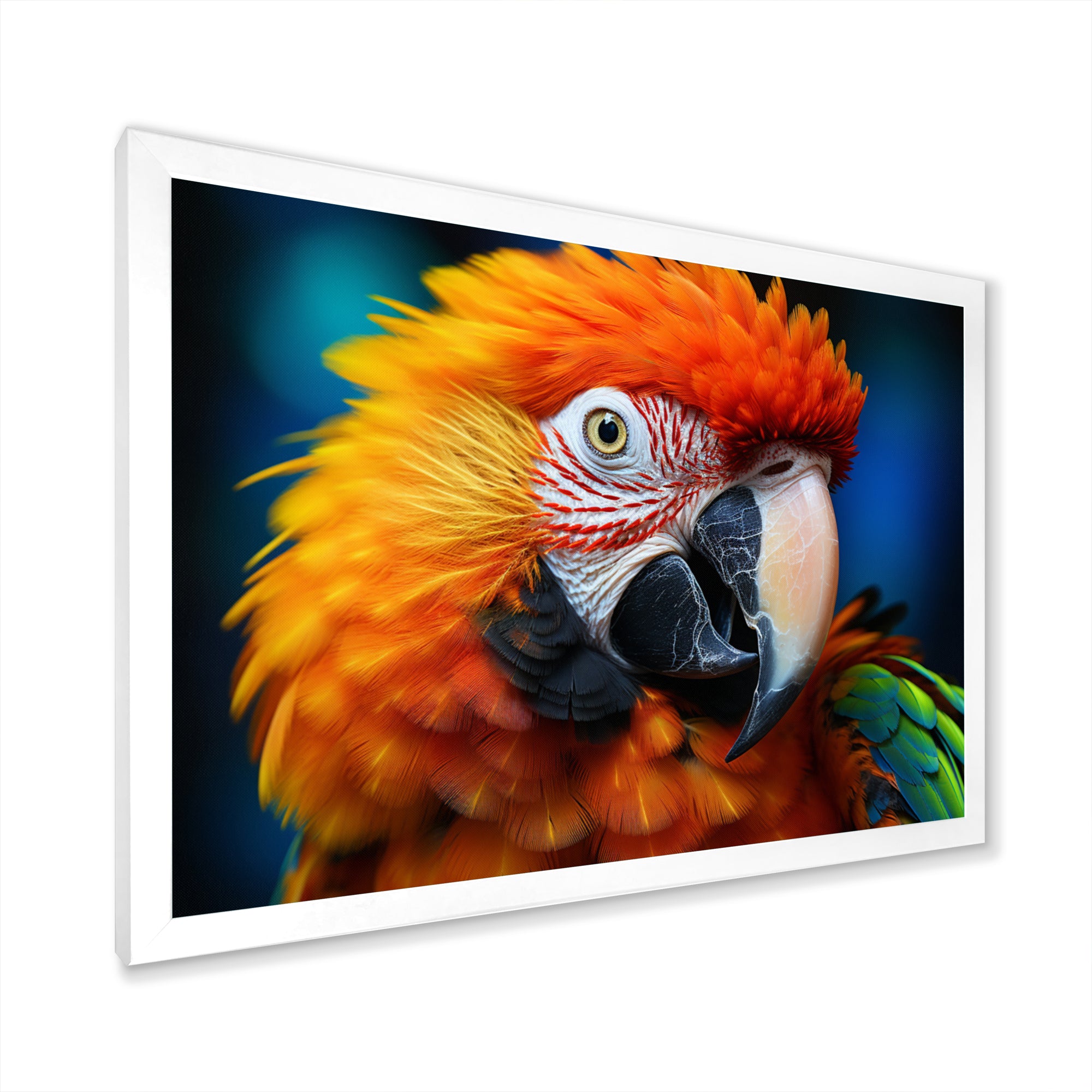 Yellow Red Parrot Colorful Parrot - Parrot Canvas Wall Art