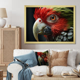 Red Parrot Portrait - Parrot Wall Art Prints