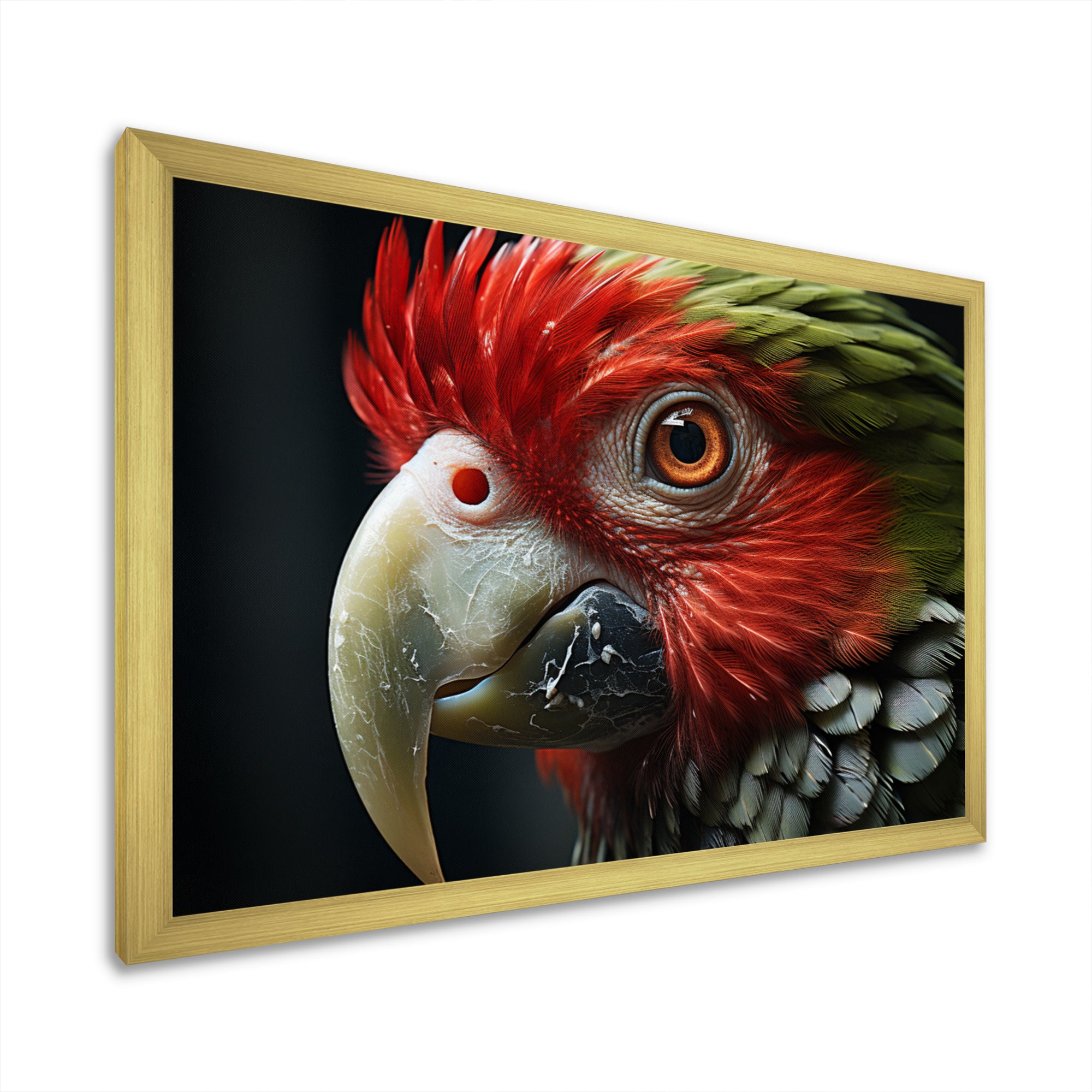 Red Parrot Portrait - Parrot Wall Art Prints