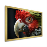 Red Parrot Portrait - Parrot Wall Art Prints