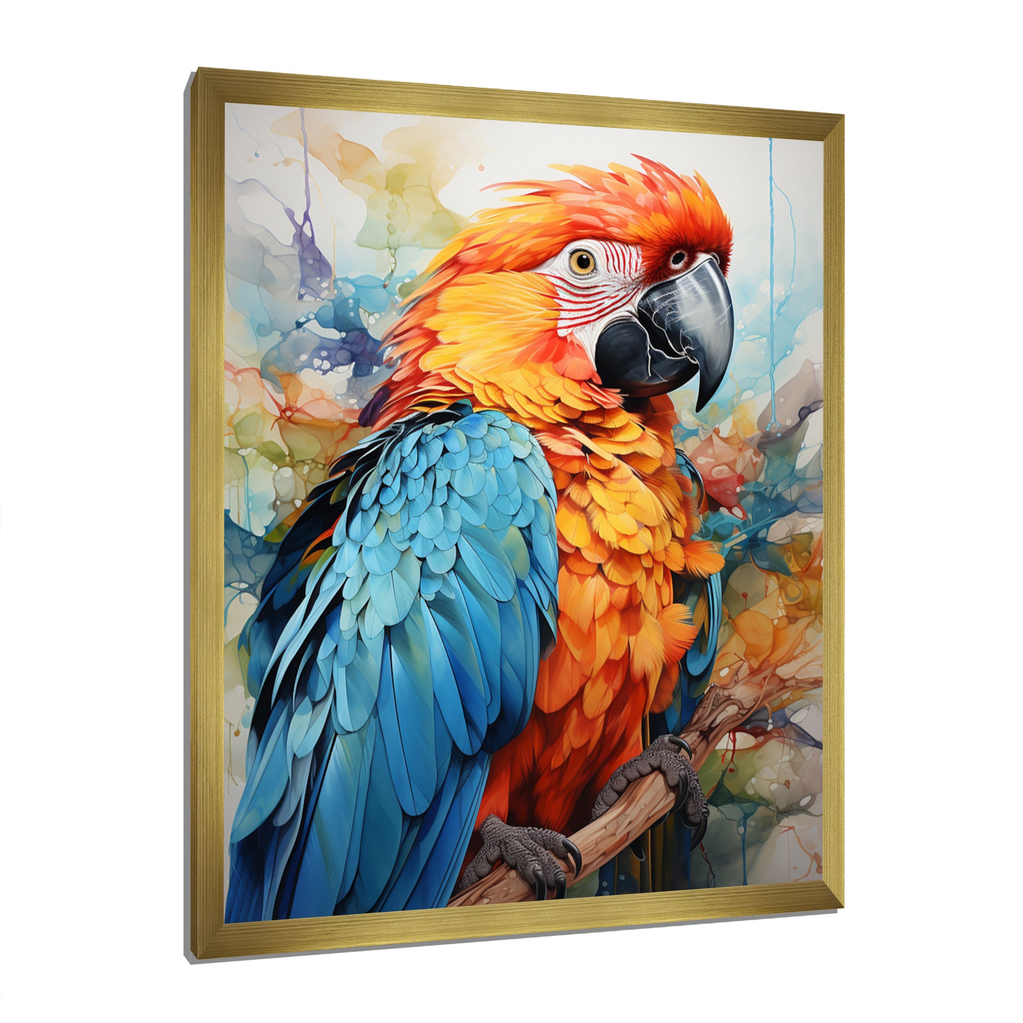 Orange Blue Parrot Vibrant Plumage - Orange Parrot Wall Art