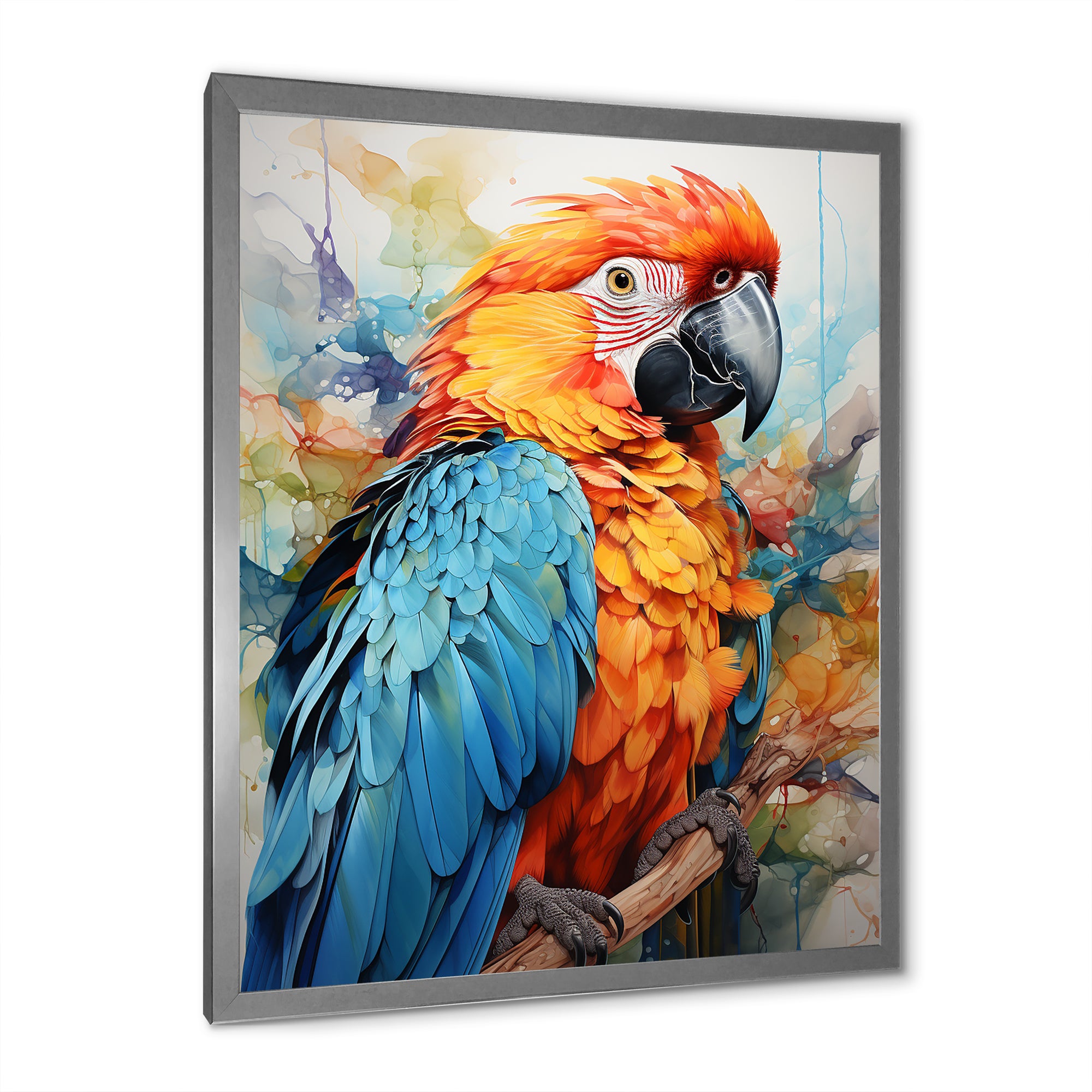 Orange Blue Parrot Vibrant Plumage - Orange Parrot Wall Art