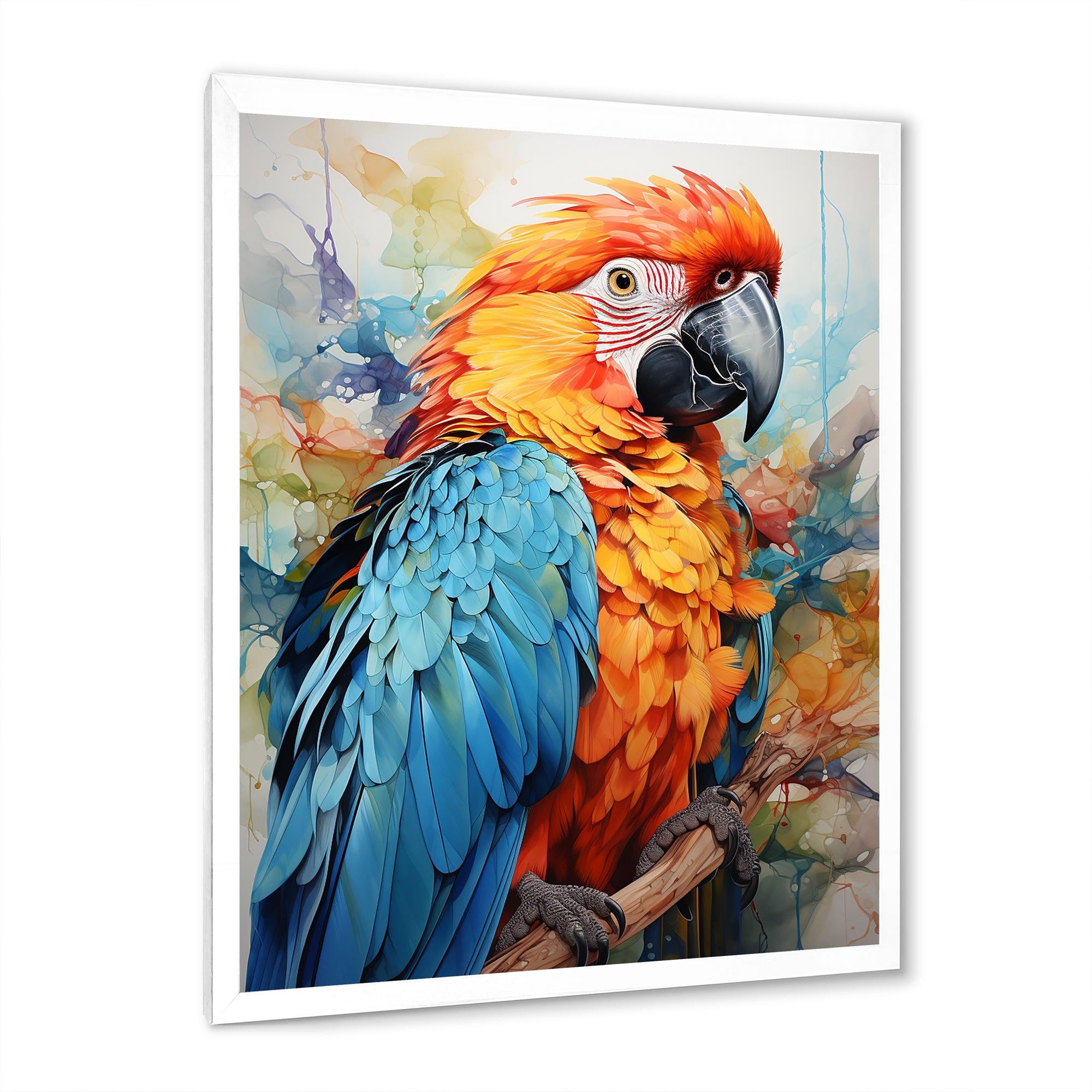 Orange Blue Parrot Vibrant Plumage - Orange Parrot Wall Art