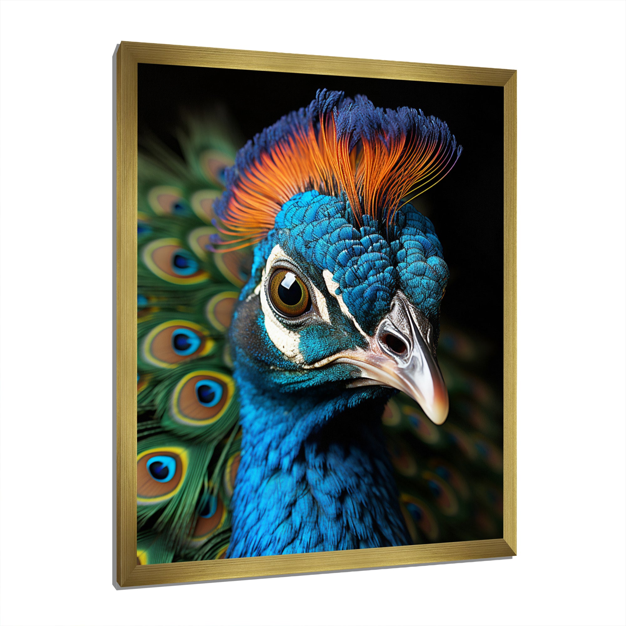 Peacock Animal Portrait - Peacock Canvas Wall Art