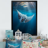 Ray Graceful Glide Ocean - Ray Canvas Wall Art