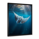 Ray Graceful Glide Ocean - Ray Canvas Wall Art