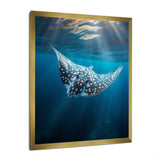 Ray Graceful Glide Ocean - Ray Canvas Wall Art