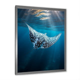Ray Graceful Glide Ocean - Ray Canvas Wall Art