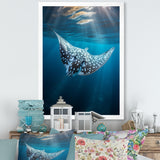 Ray Graceful Glide Ocean - Ray Canvas Wall Art