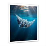 Ray Graceful Glide Ocean - Ray Canvas Wall Art