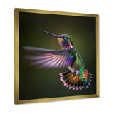 Purple Colibri Hovering Nature Photography - Bird Wall Decor