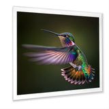 Purple Colibri Hovering Nature Photography - Bird Wall Decor
