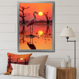 White Stork Pink Sunset Nature Photography - Yellow Bird Wall Art