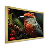 Orange Tropical Bird On Branch Nature Photography - Bird Wall Decor