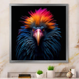 Colorful Tropical Bird Nature Photography - Bird Wall Art Prints