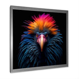 Colorful Tropical Bird Nature Photography - Bird Wall Art Prints