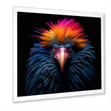 Colorful Tropical Bird Nature Photography - Bird Wall Art Prints