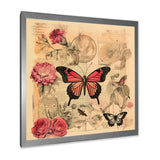 Vintage Illustration Of Romantic Pink Butterfly - Butterfly Canvas Wall Art
