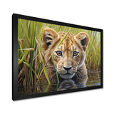 Endearing Lion Cub By The River - Lion Large Canvas Wall Art