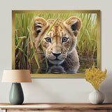 Endearing Lion Cub By The River - Lion Large Canvas Wall Art