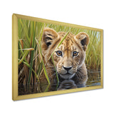 Endearing Lion Cub By The River - Lion Large Canvas Wall Art