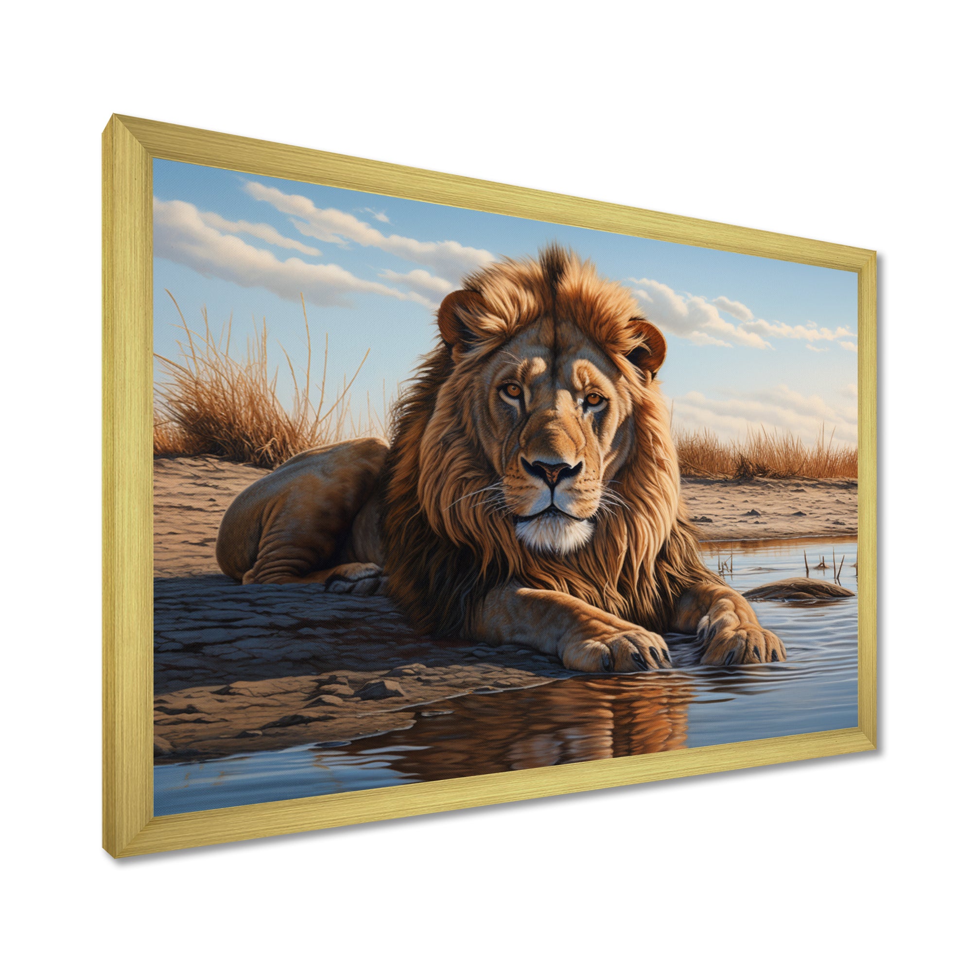 Lion Resting By The Water Pool - Lion Wall Art Prints