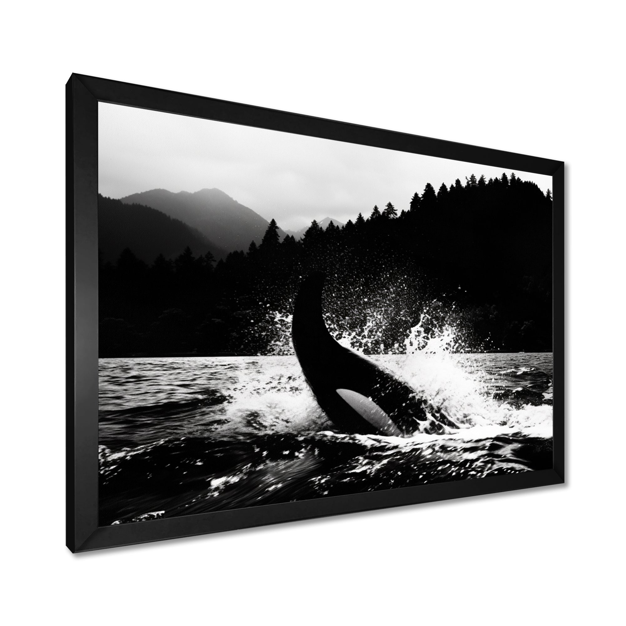 Orca Splashing In The Water Monochrome - Coastal Animal Framed Canvas Art