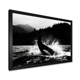 Orca Splashing In The Water Monochrome - Coastal Animal Framed Canvas Art