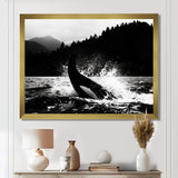 Orca Splashing In The Water Monochrome - Coastal Animal Framed Canvas Art