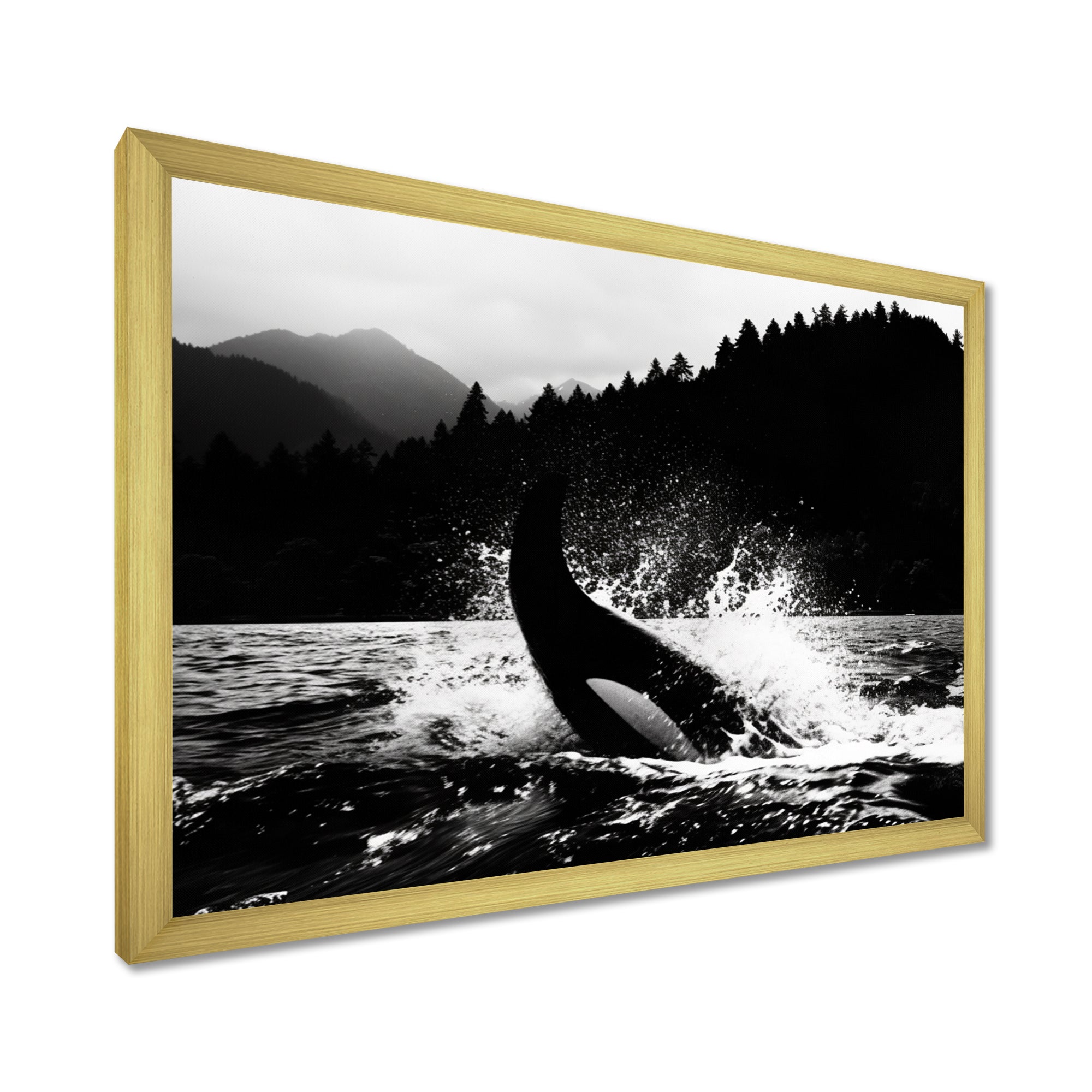 Orca Splashing In The Water Monochrome - Coastal Animal Framed Canvas Art