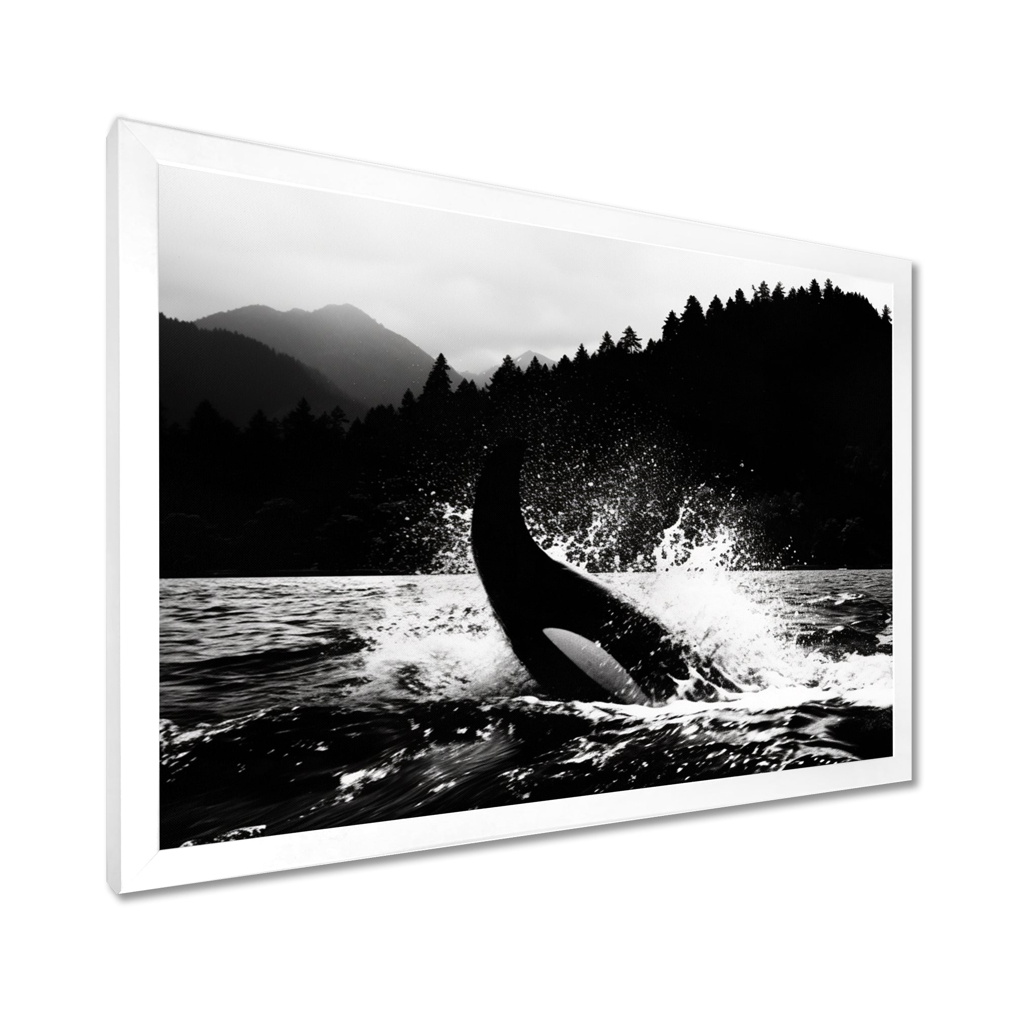 Orca Splashing In The Water Monochrome - Coastal Animal Framed Canvas Art