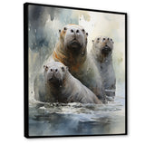 Walrus Graceful Giants - Walrus Wall Art Prints