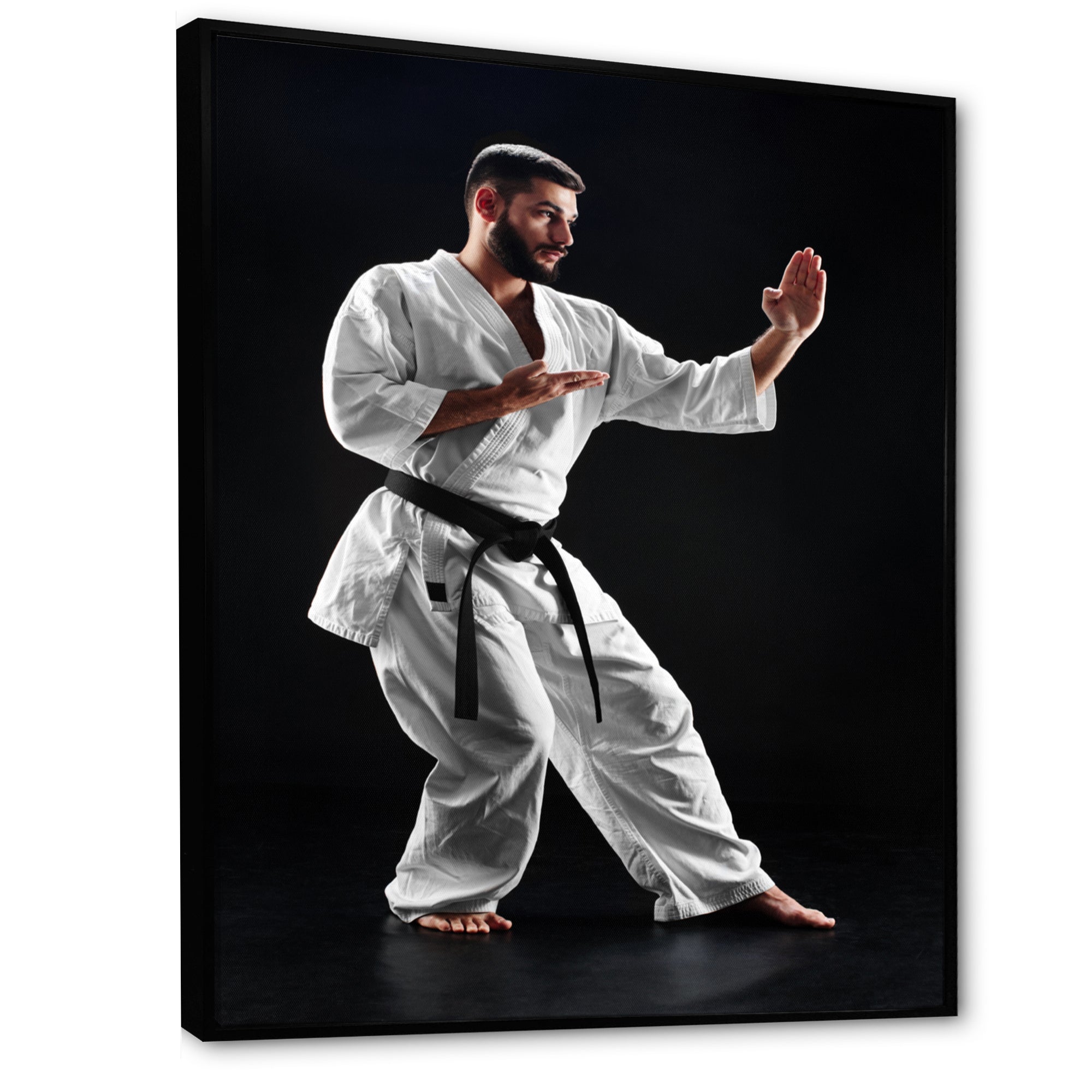 Martial Arts Combat Warrior I - Martial Arts Canvas Wall Art