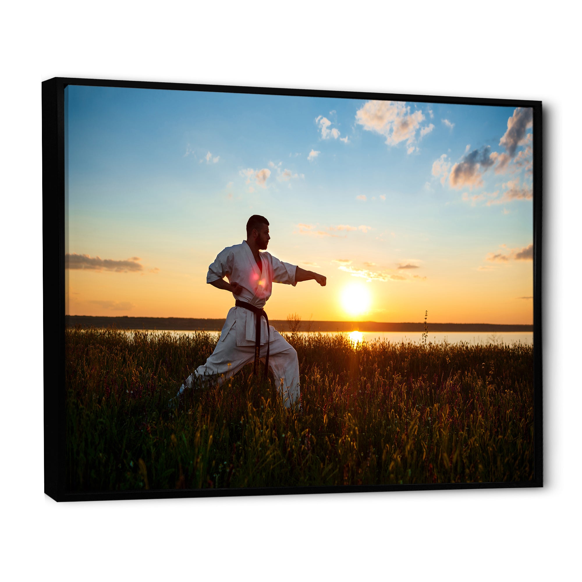 Man Training Karate In Field At Sunrise - Aerobic & Bodybuilding Canvas Wall Art