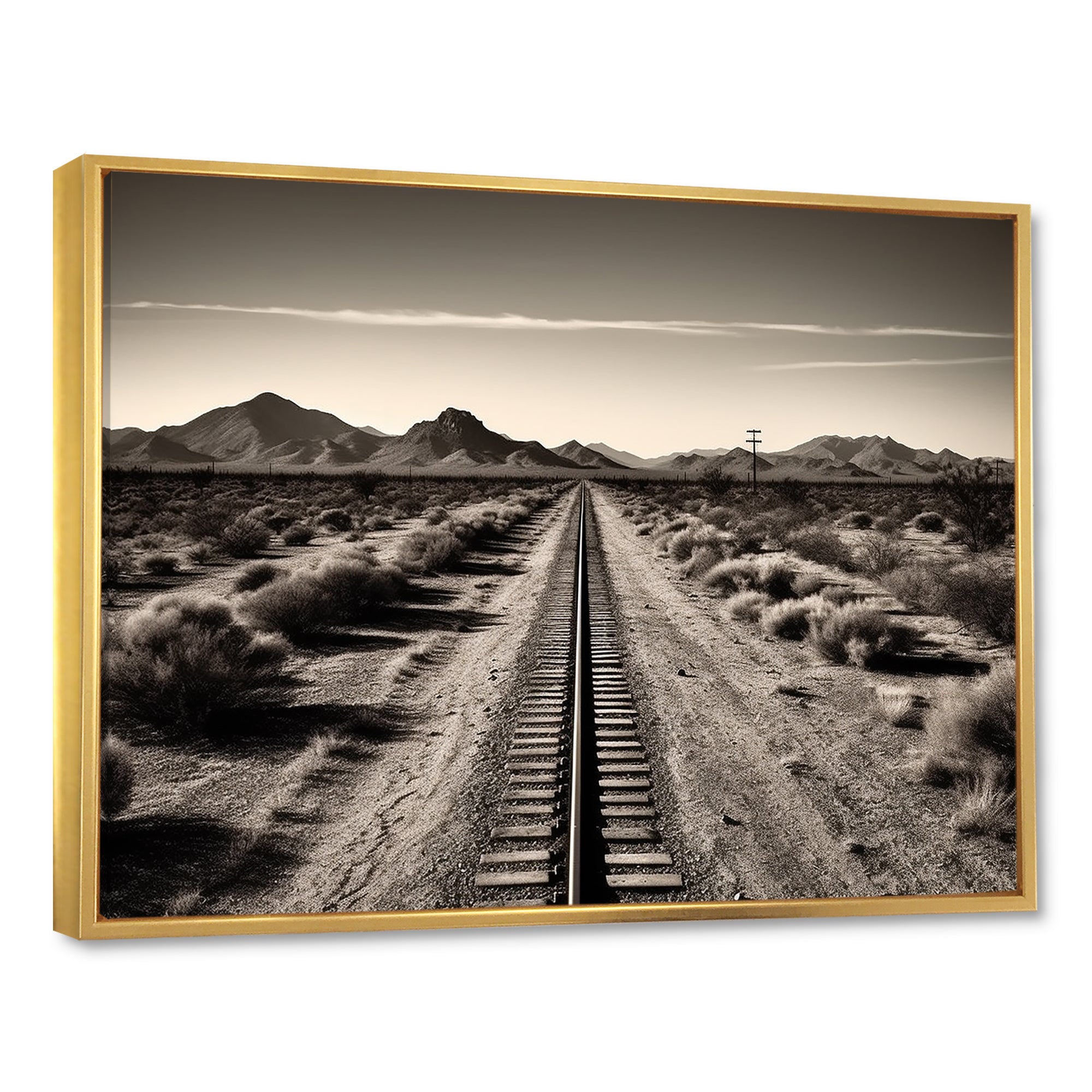 Rail Track In Monochrome Canyon - Train Canvas Wall Art