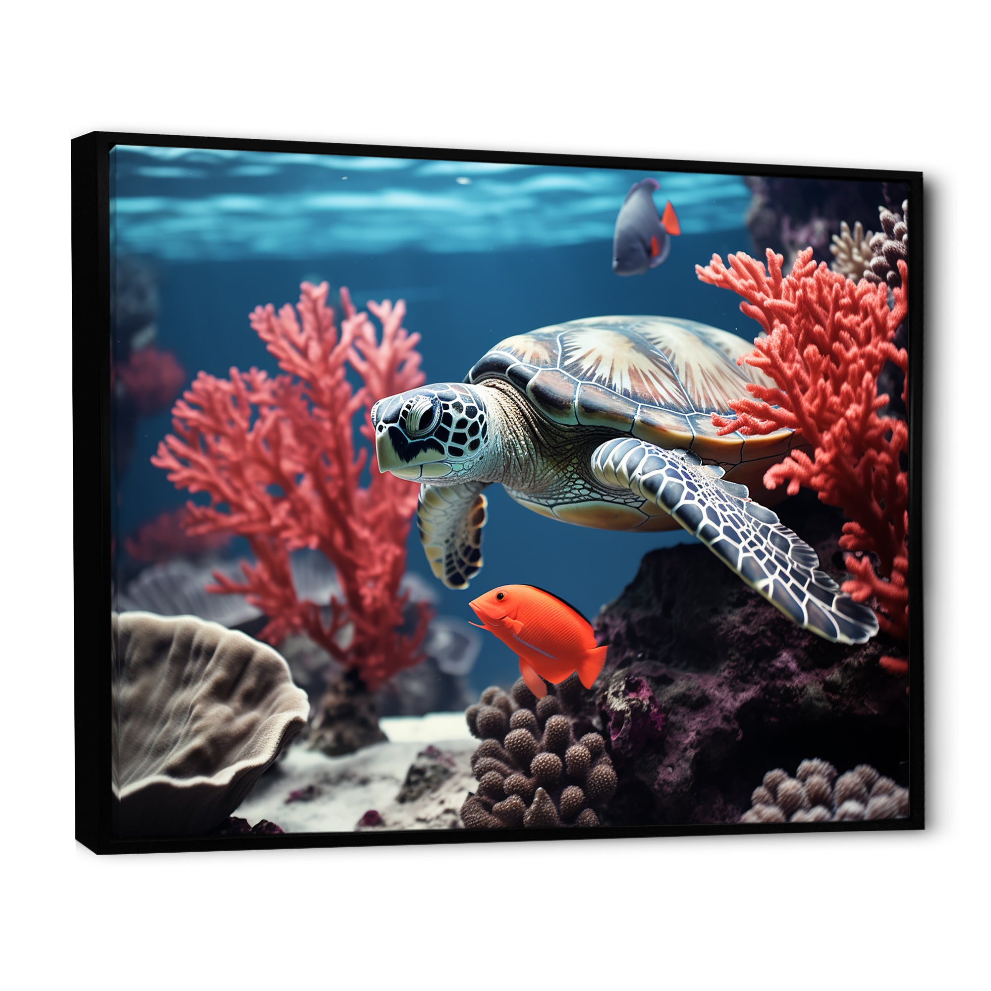 Monochrome Coral And Grey Turtle Paddle - Turtle Canvas Wall Art