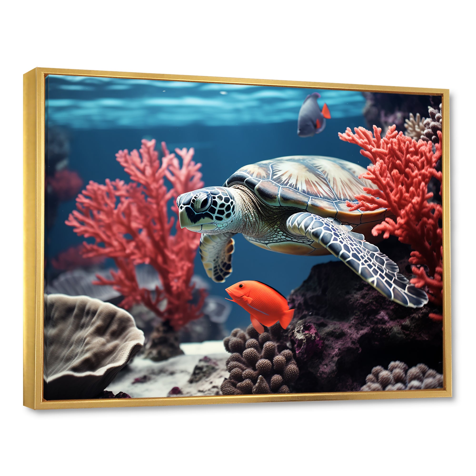 Monochrome Coral And Grey Turtle Paddle - Turtle Canvas Wall Art