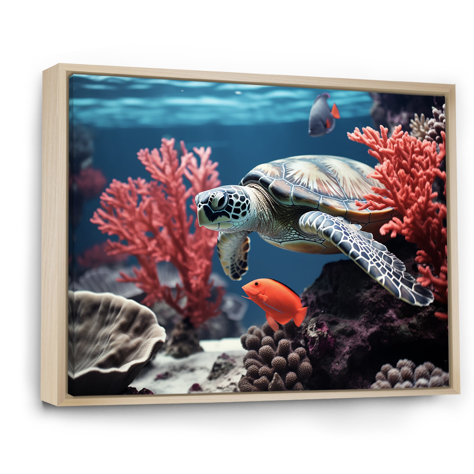 Monochrome Coral And Grey Turtle Paddle - Turtle Canvas Wall Art