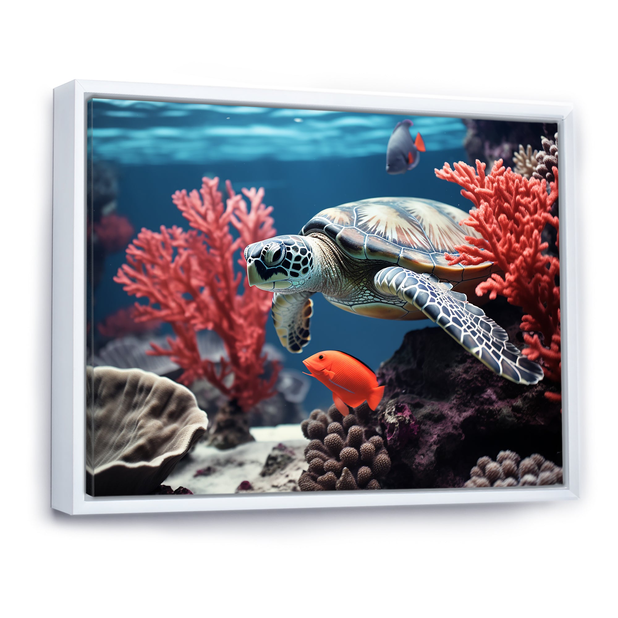 Monochrome Coral And Grey Turtle Paddle - Turtle Canvas Wall Art